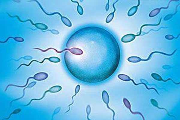 广州代孕找什么人合适-生殖代孕产子价格_你知道精子活动率正常值是多少吗？