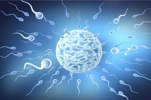 <b>广州代孕找什么人合适-生殖代孕产子价格_你知道精子活动率正常值是多少吗？</b>