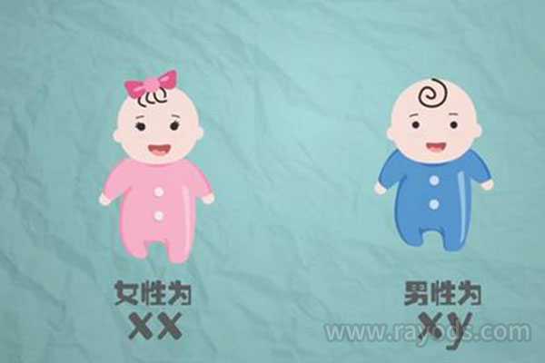 广州代孕生殖中心靠谱吗-代孕怎么上户口_胎儿在腹中是如何发育出性别的呢？