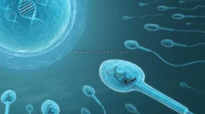 能把胚胎寄到代孕吗-广州生孩子能代孕吗_死精症的具体表现一般有哪些？死精